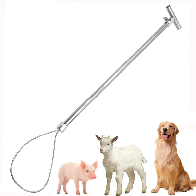 Cj farms and agritech Stainless Steel Pig Holder Pig Swine Catcher Cage Seed Catcher