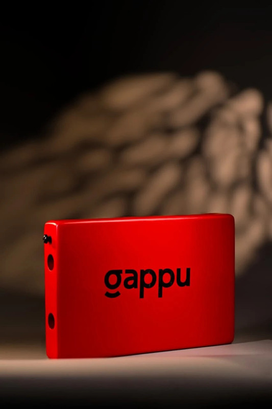 Gappu Traveller Cajon Portable Wooden Jambox with Built-in Snare Tone Cajons