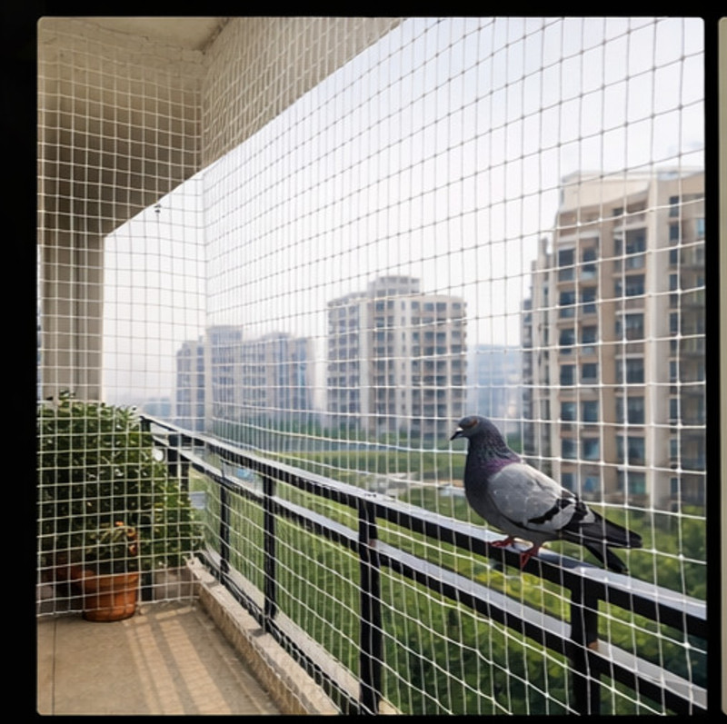 Tulsiifashion White pigeon nets Cam