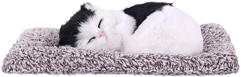 Dwiti Enterprise Car Dashboard Sleeping Cat Interior Decorative Accessories Figurines Showpiece Sleeping Cat Plush Toy with Press Simulation Sound Car Dashboard Cover(Universal For Car Universal For Car)