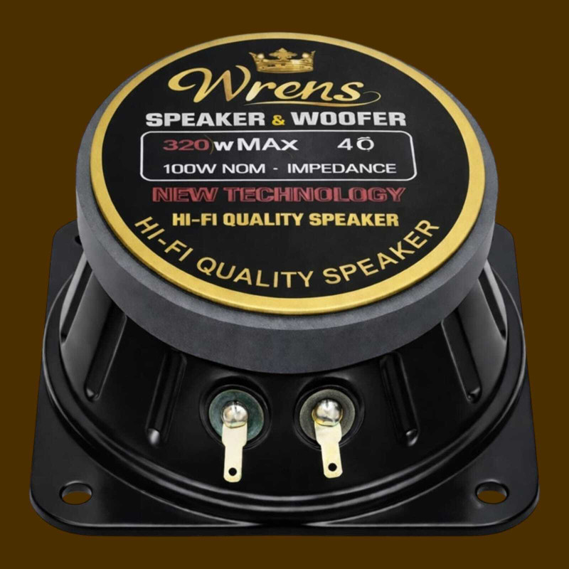 WRENS 4 Inch Car Tweeter Speaker 320W Heavy Magnet HiFi Sound HM-002 Tweeter Car Speaker(320 W)