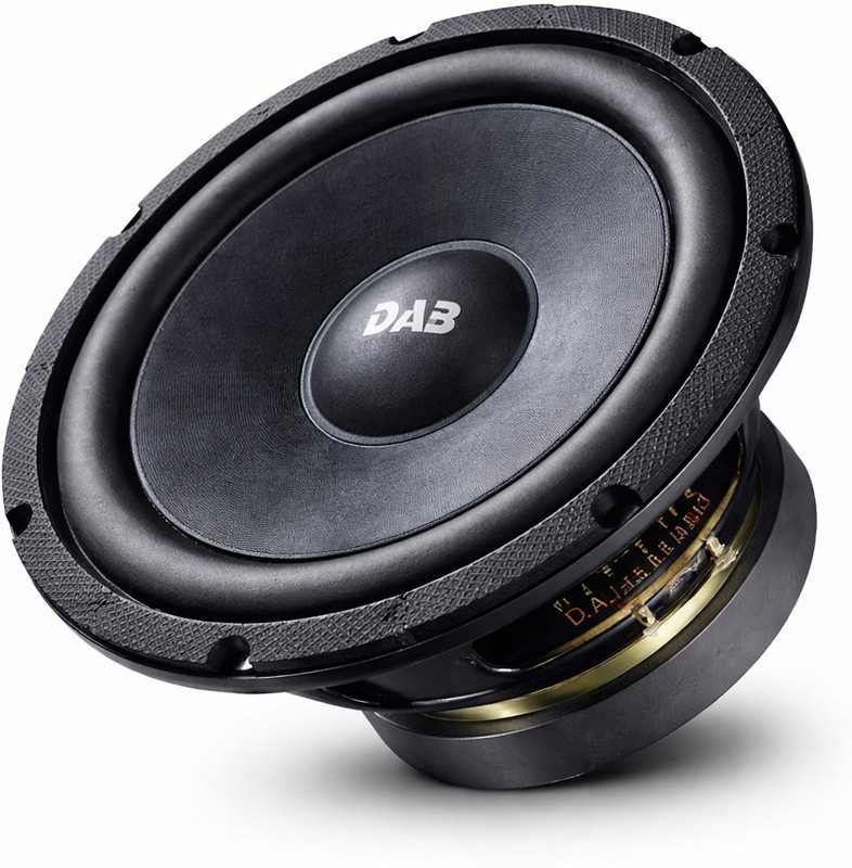 PDS AUDIO 10SUB 10 Inch Subwoofer Subwoofer(Passive , RMS Power: 150 W)