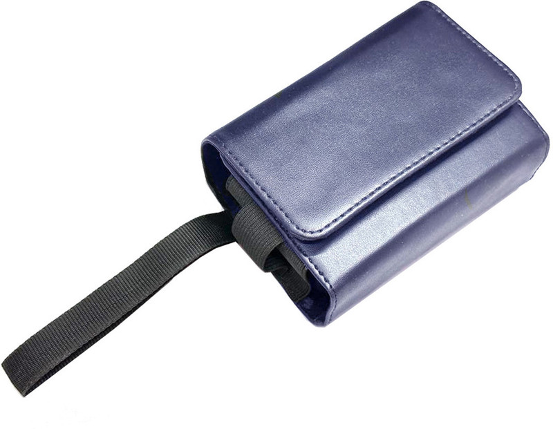 Gizmofreaks Pouch for Saregama Carvaan Mini Bluetooth MP3 Player(Blue, Artificial Leather, Pack of: 1)