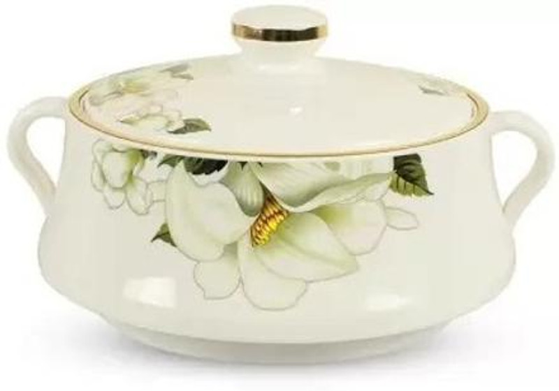 NAYASA Plastic & Stainless Steel Lorenzo Casserole Thermoware Casserole(3500 ml)
