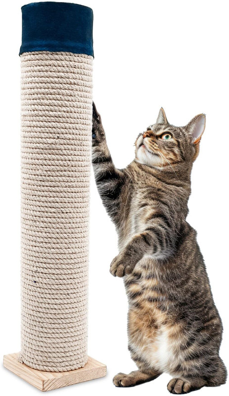 Wagging Tails Cat Scratching Tree