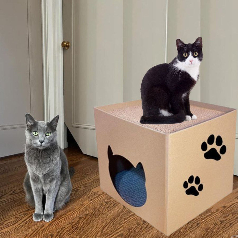 Pet Guard Cat Scratching Pad