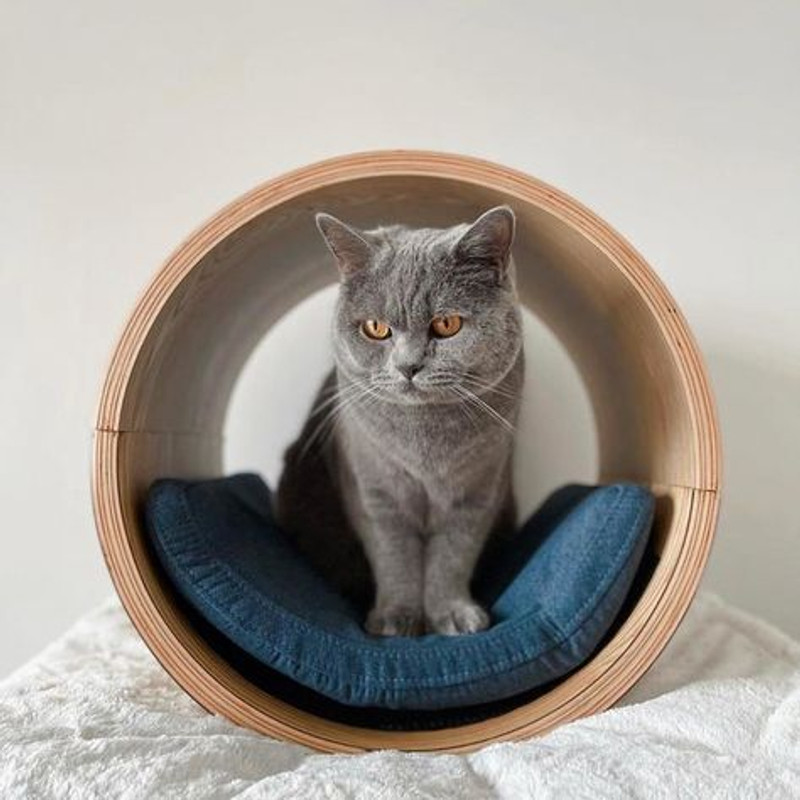 House of Meows Orbit Wall Mount Circle Bed / Wall Mount / Cat Bed/ Cat Cave / Cat Condo Wall Mounting Cat Tree
