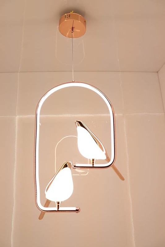 Shri Mahal Antiques Metal Chirpy Twin Pendant Hanging Lights for Living Room Lights: Double Delight Pendant Lamp Ceiling Lamp(Gold)