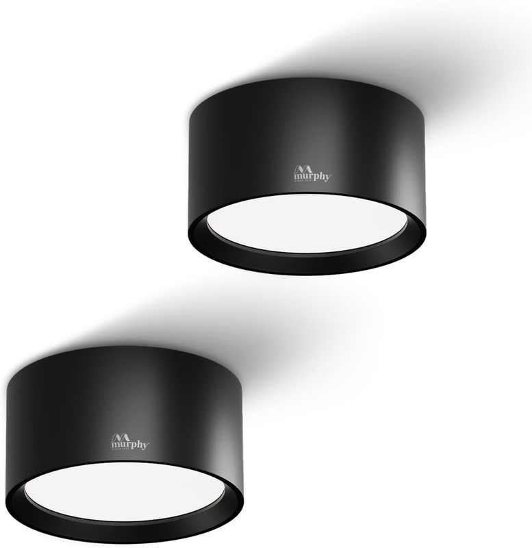 DECOHOME Ceiling Light Ceiling Lamp(Black)