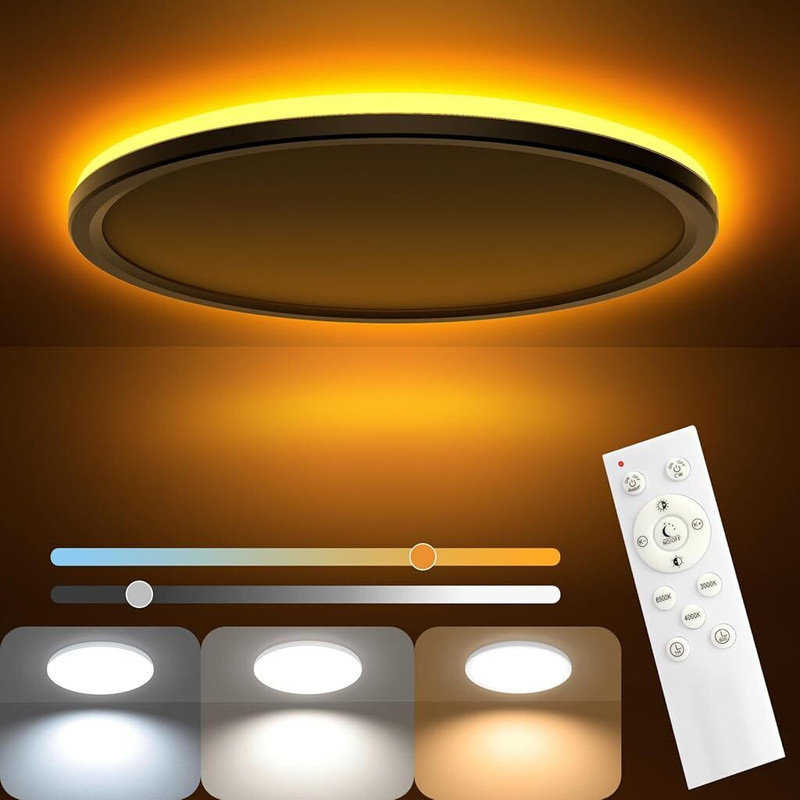 ELEPHANTBOAT Dimmable LED Ceiling Light with Remote Control 11.8 Surface Ceiling Light Ceiling Lamp(White)