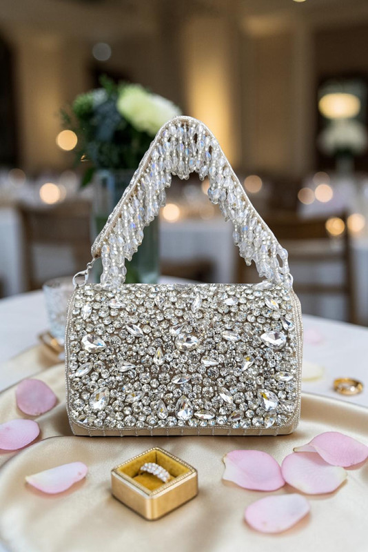 AILTINO Party Beige Clutch