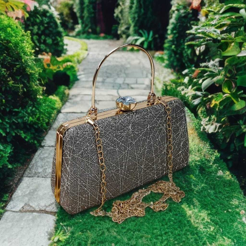 Alzius Party Grey Clutch