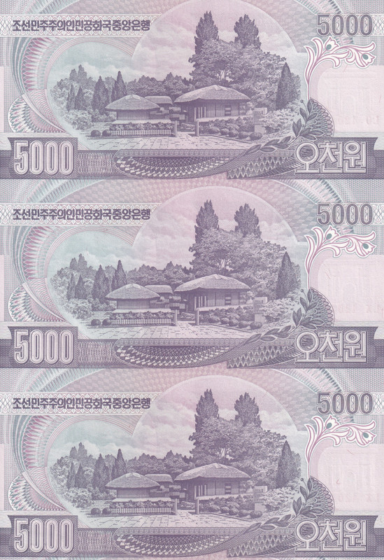 Vkcoins North Korea 5000 Won Rare (3 Note ) UN CUT SHEET Modern Coin Collection(0 Coins)