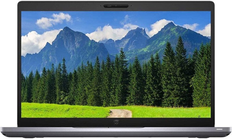 DELL 5410 Intel Core i7 10th Gen - (16 GB/256 GB SSD/Windows 10) 5410 Refurbished Laptop(14 Inch, Silver)