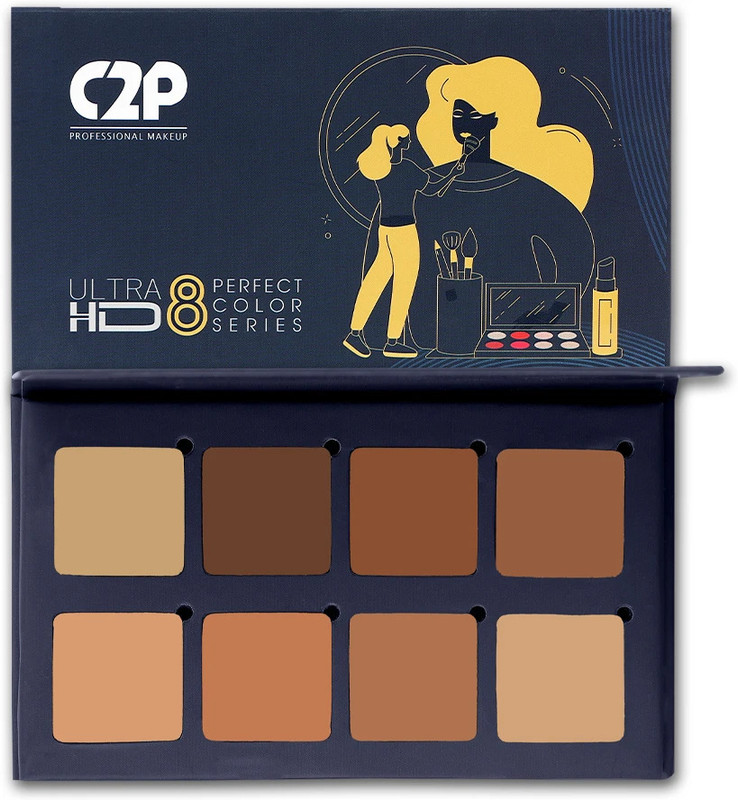 C2P Professional Makeup Basic Kit - Multi Concealer(Multi, 13 g)