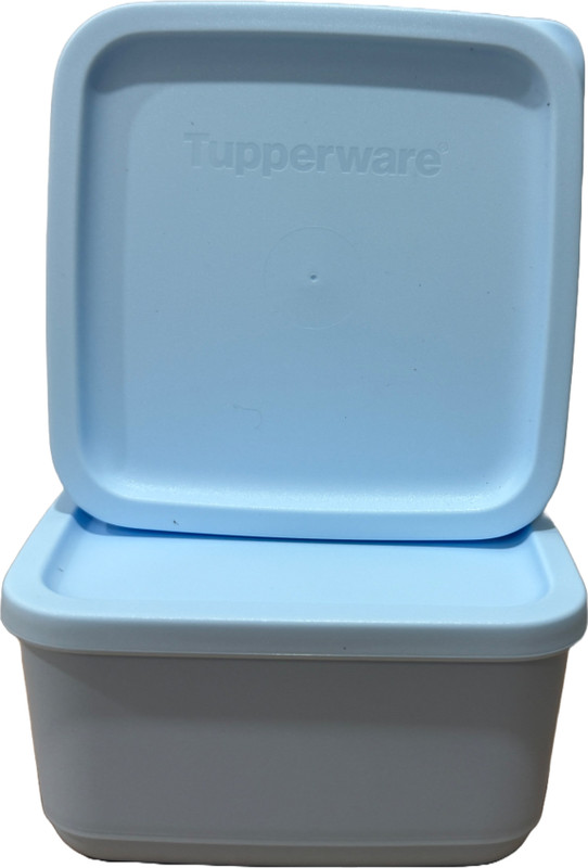 TUPPERWARE Plastic Fridge Container  - 650 ml, 650 ml(Pack of 2, Light Blue)
