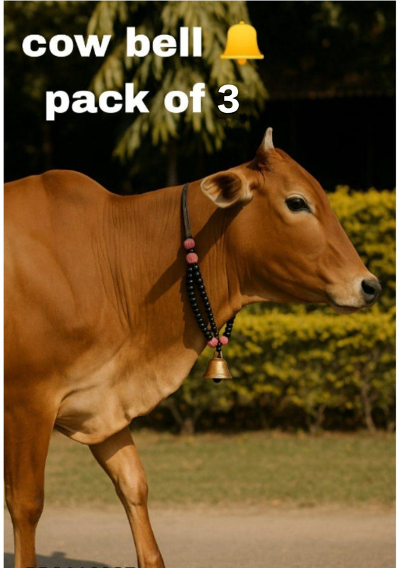 rkp Mountable Cowbell(Glass, Iron, Plastic)