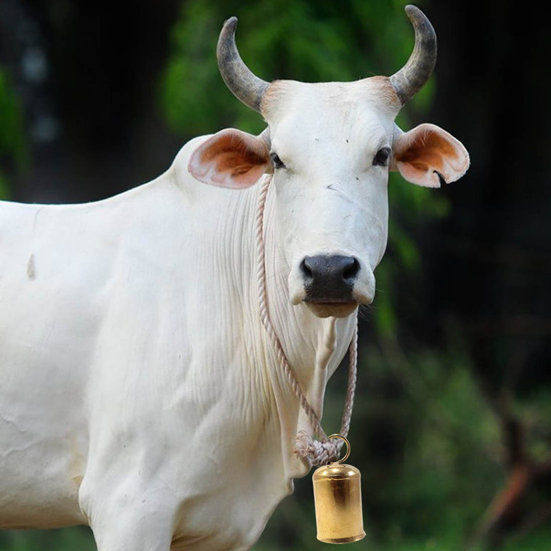 eze enterprises Cow/Bull/Buffalo Bell ,Neck Bell,Ghanti for Cow Mountable Cowbell(Iron)