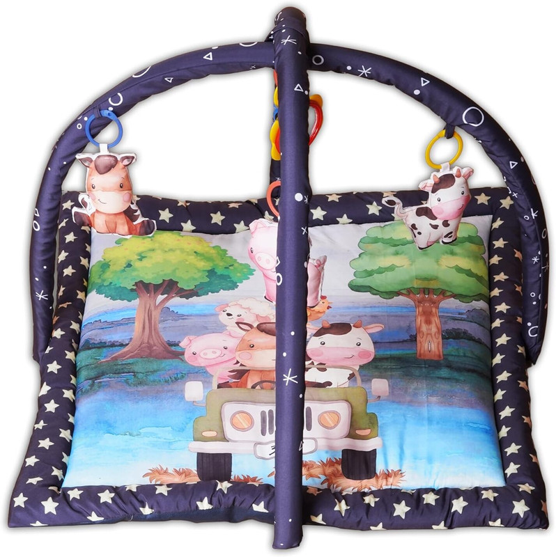 EVAAN ENTERPRISE Baby Play Gym for Babies Activity Play Gym Mat with 5 Hanging Toys(Pink)