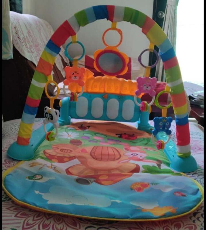 Ruffo Baby Activity Mat with Keyboard Piano and Detachable Toy Arch(Multicolor)