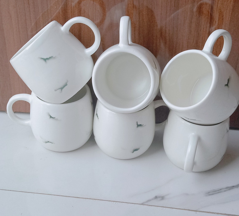 Shashi Art And Craft Pack of 6 Ceramic(White, Cup Set)