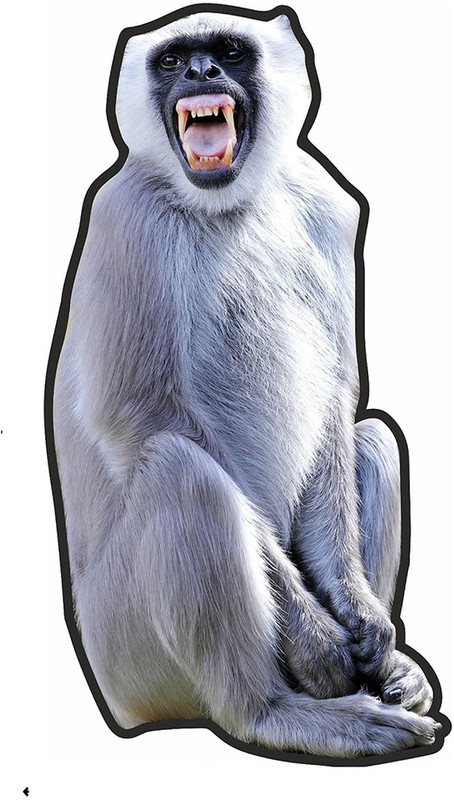 BPDESIGNSOLUTION Langur Cutout 16x24 inch with 5mm Sunpack | UV Printed | Unbreakable Polypropylene Cut-outs(1)