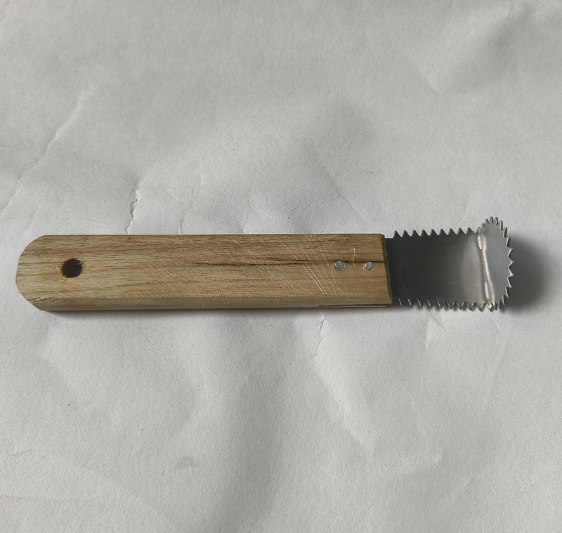 Oridsho Coconut Grater Manual Stainless Steel Table Knife(Pack of 1)