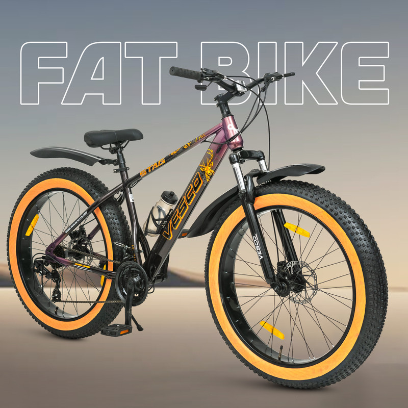 VESCO Stag 24T- 21 Gears Fat Tyre Cycle for boys, girls 9+,Disc Brakes With Suspension 24 T (inch) Fat Tyre Cycle(21 Gear, Multicolor, Only Front Suspension)