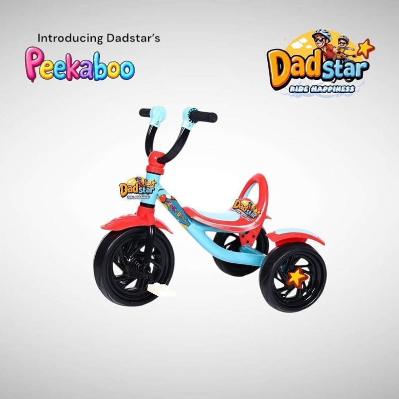 DADSTAR PEEKABOO TRICYCLE FOR KIDS AGE 2 TO 4 YEARS SKY BLUE AND RED COLOUR 12 T (inch) 12 T (inch) Recreation Cycle(Single Speed, Blue, Red, Rigid)