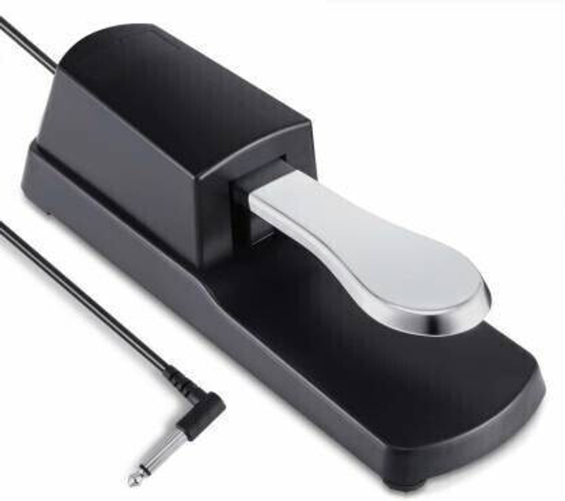 DawnRays Sustain Pedal Foot Damper Pedal for Digital Electronic Piano Keyboard Sustain Pedal for Yamaha,Roland,Casio,Korg,Behringer,Moog - Universal Foot Pedal Black Damper & Sustain Pedal