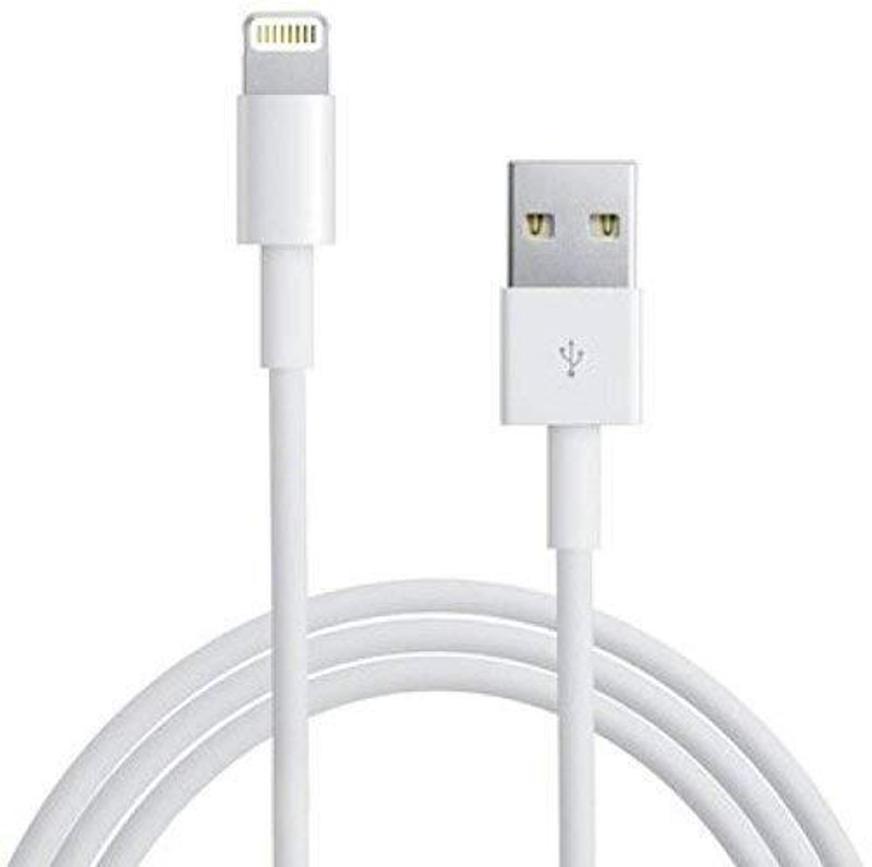 Wishmech USB-A to Lightning Charging Cable Cord & Data Sync USB Cable (1 Metre) Charging Pad