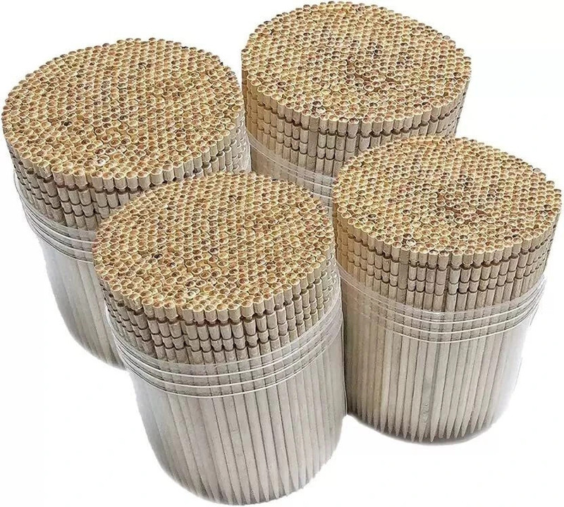 Fanqew Wooden Toothpicks / Teeth Care Sticks with Dispenser Box = 1,000 Stiks(10 cm, Pack of 4)