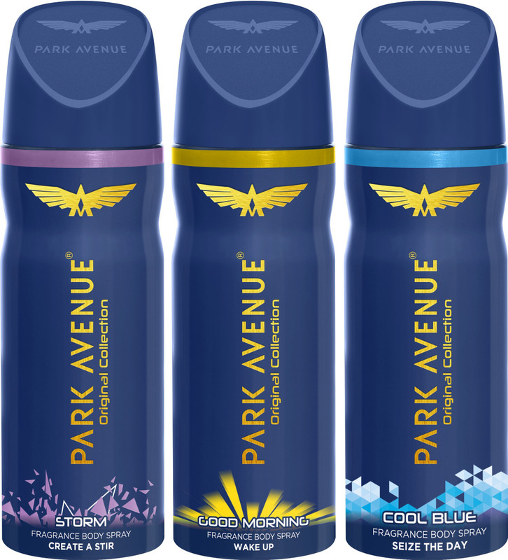 PARK AVENUE 1 Storm and 1 Cool Blue and 1 Good Morning Deodorant Combo for Men (Pack of 3) Deodorant Spray - For Men(450 ml, Pack of 3)