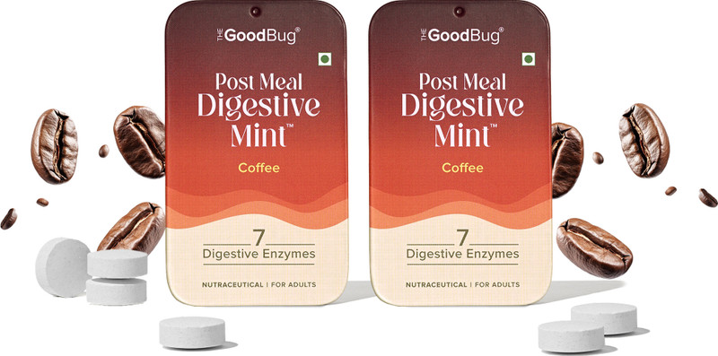 The Good Bug Post Meal Digestive Mint- Peppermint Peppermint Tablet(14 No, Pack of 2)