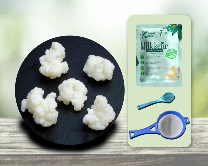 Feelgood Kefir LIVE BIG Sized Milk Kefir Grains Lifetime Re-usable and Multiplying, Contains 55-60 Live & Active Strains Granules(15 g)