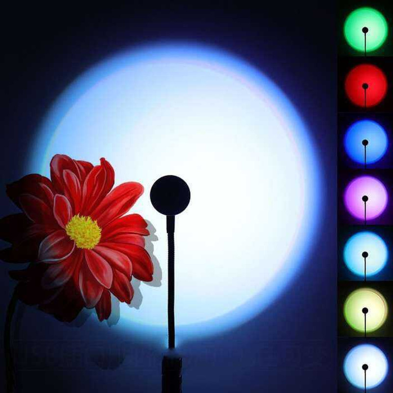 Ancestors R13 Single Disco Ball(Ball Diameter: 19 cm)