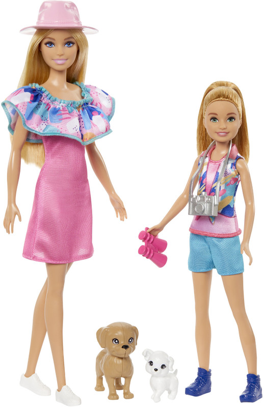 BARBIE Stacie Sister Doll Set with 2 Pet Dogs & Accessories(Multicolor)
