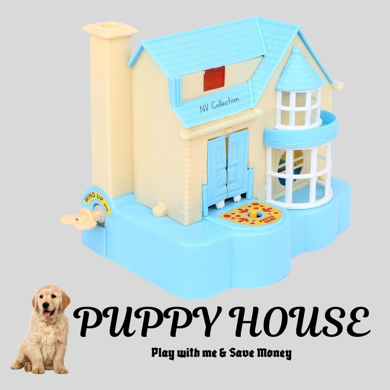 NV COLLECTION Surprise Kids with a Fun Dog House Money Bank(Multicolor)