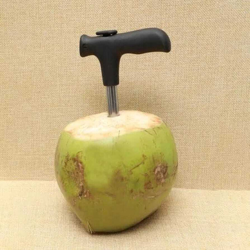 RH MALL Coconut Opener Cookie & Biscuit Press Pump(Manual)