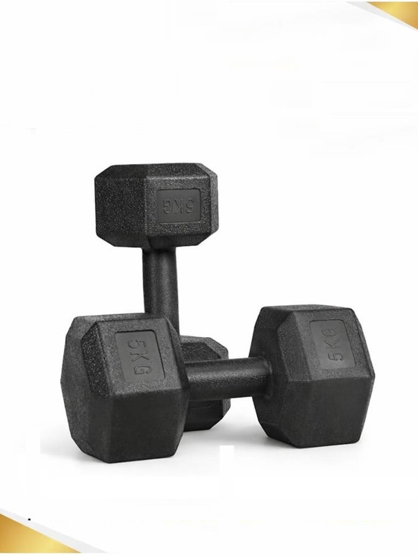 Valtor Sports Plastic Hex-Dumbells pair 5KG each Fixed Weight Dumbbell(10 kg)