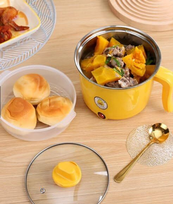 TEZZ Portable Electric Cooking Pot – Ideal for Rice, Eggs, Noodles, Pasta Egg Cooker(35 Eggs)