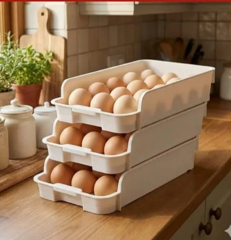 vastrika fashion Multi Slot Egg Holder(Plastic)