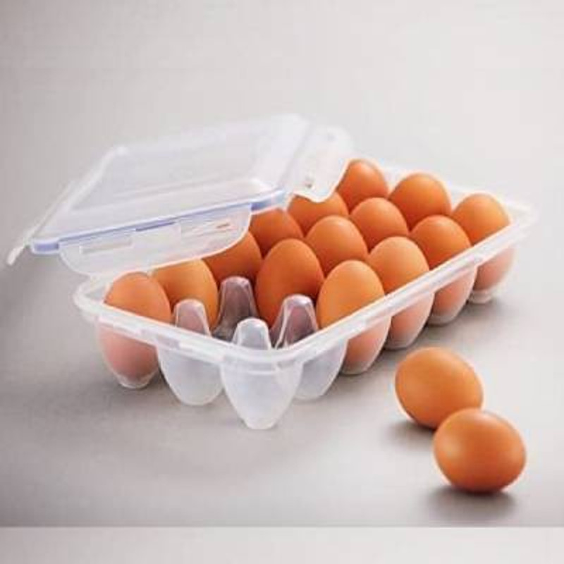 Prolieve Egg holder Egg Holder(Rubber)