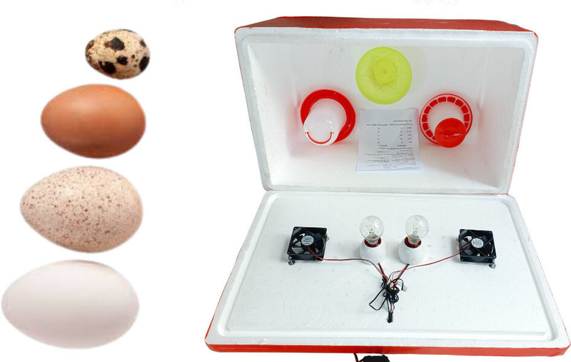 TM&W STC-1000 egg incubator 100 two holders with 1.5 kg feeder 1.5 drinker free Egg Incubator