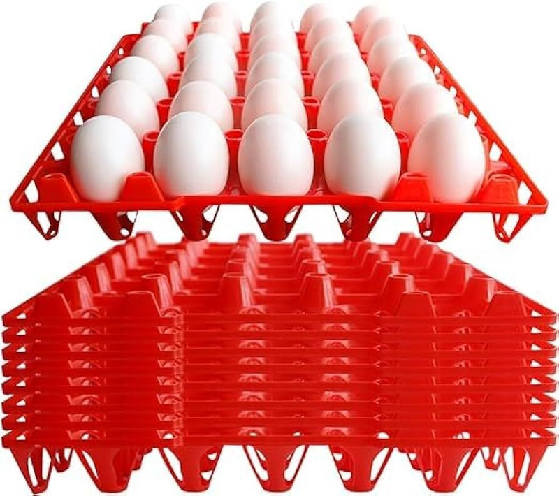Praish Blue colour egg trays Plastic Egg Separator Set(Blue, Pack of 5)