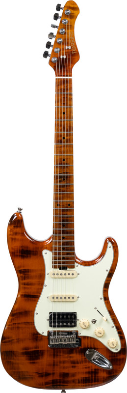 Torrins TOR-SIGN-ELEC Archtop Electric Guitar(Sunburst (Gloss))