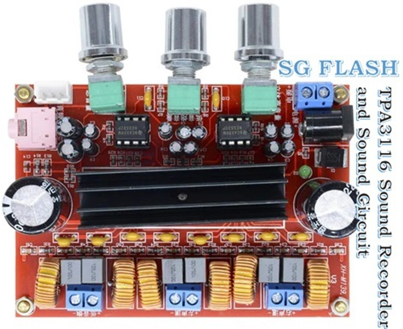 SG Flash QULITY TPA3116 Sound Recorder and Sound Circuit Power Supply Electronic Hobby Kit