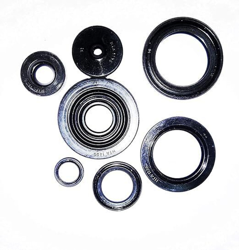 Chin kraft Premium Engine Seal Kit Compatible with RX100 / RX135 / RXG135 Engine Circlip Set