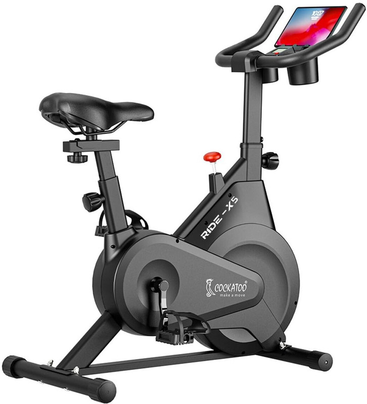COCKATOO Ride X5 5Kg Fly Wheel Spin Bike Spinner Exercise Bike(Black)