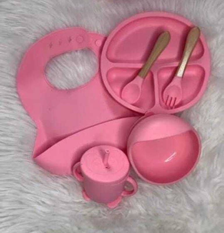 XTASY ENGINEERING Baby Food Feeding Set - BPA-Free Plastic(Pink)